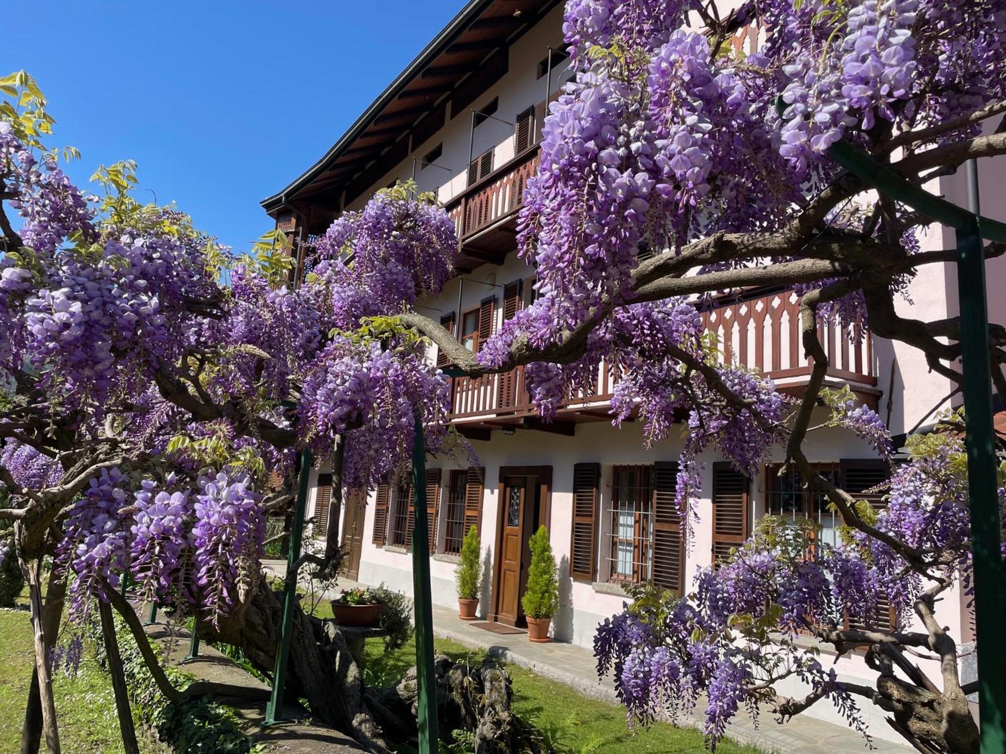 Dimora Fiorita Senior My Holiday Home Varallo Exterior foto